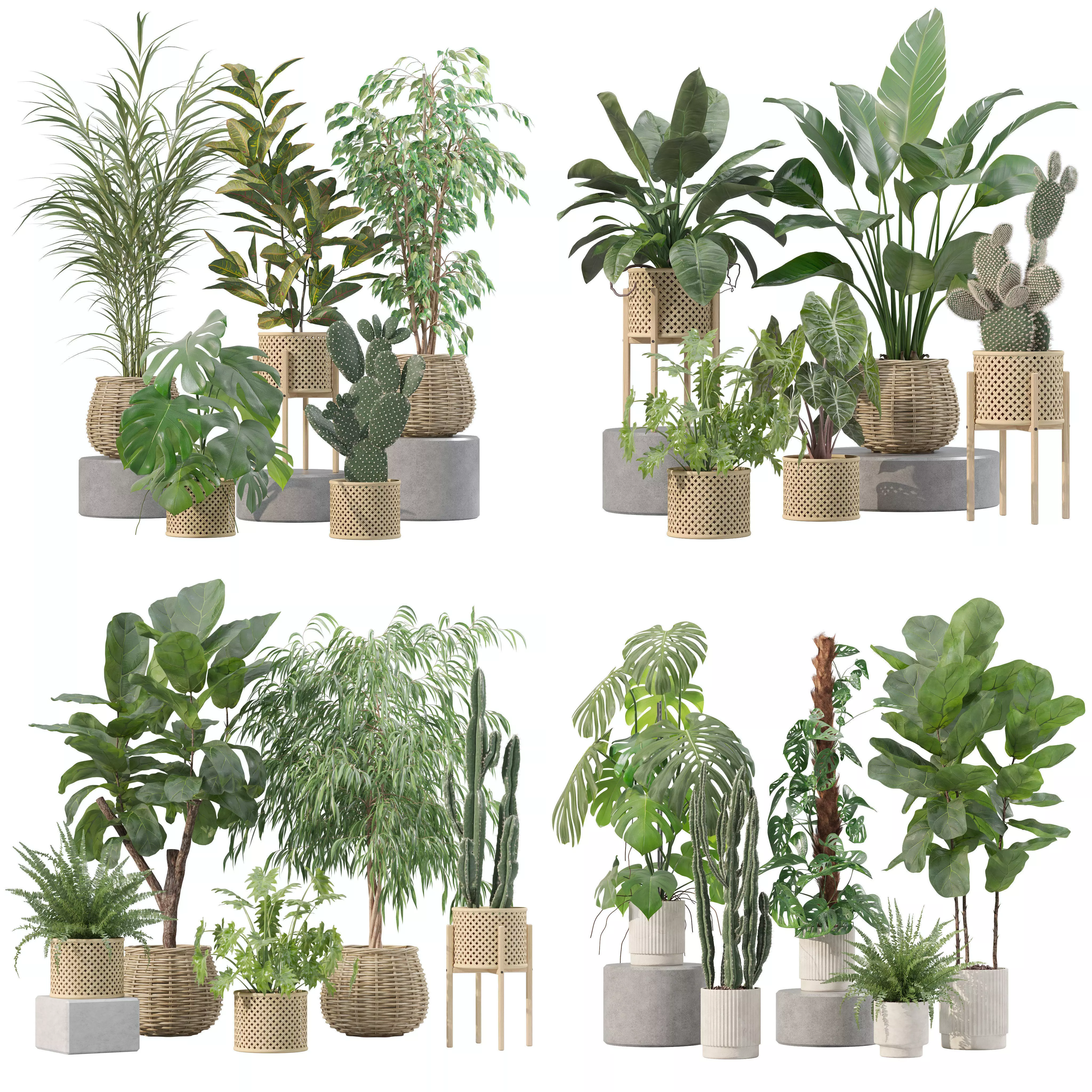 20 Photorealistic Flowers for Interiors - set 206 210 212 219 3D Model Collection_0