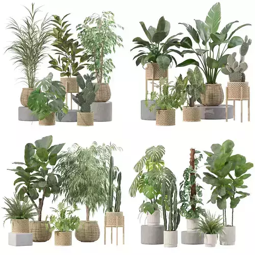 20 Photorealistic Flowers for Interiors - set 206 210 212 219 3D Model Collection