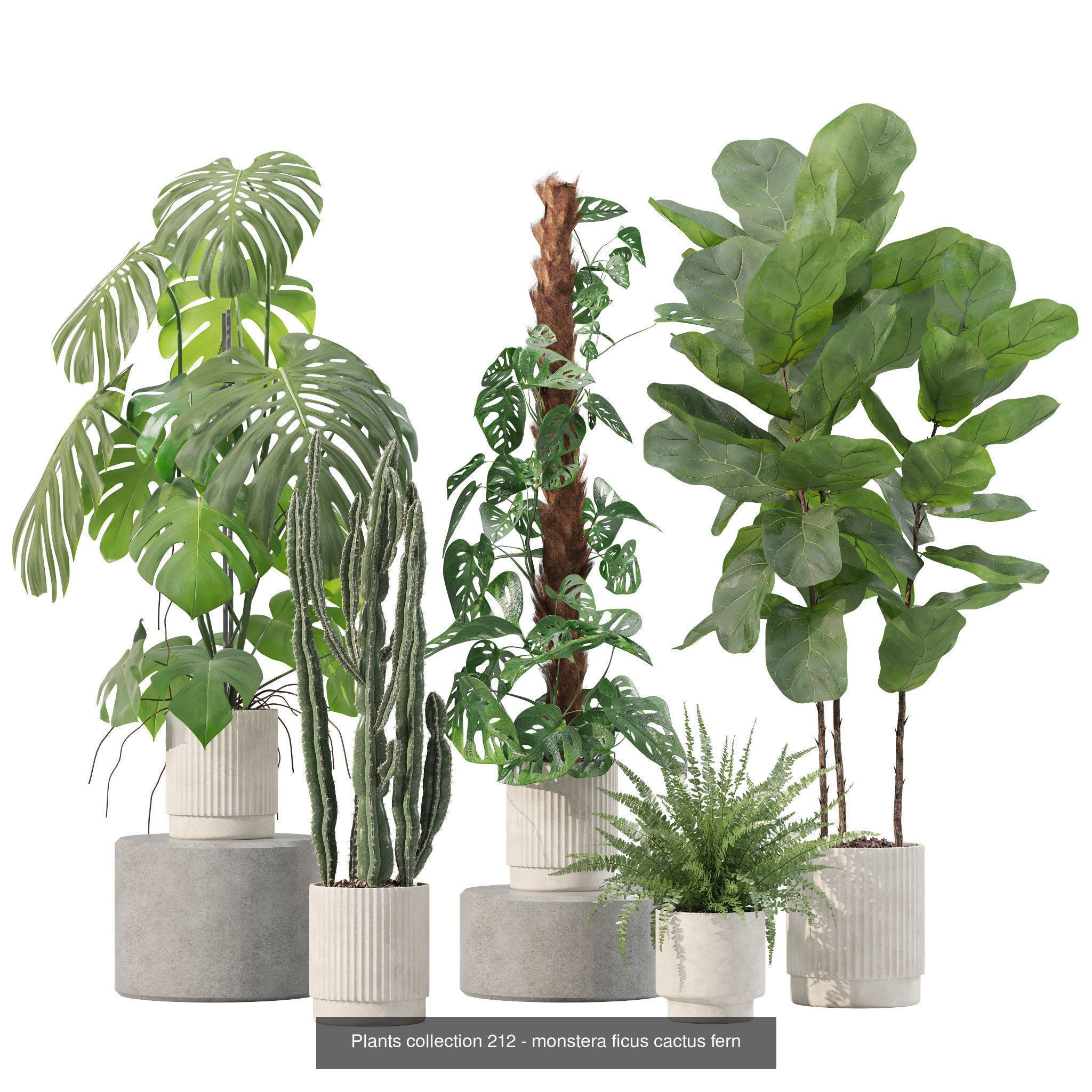 20 Photorealistic Flowers for Interiors - set 206 210 212 219 3D Model Collection_3