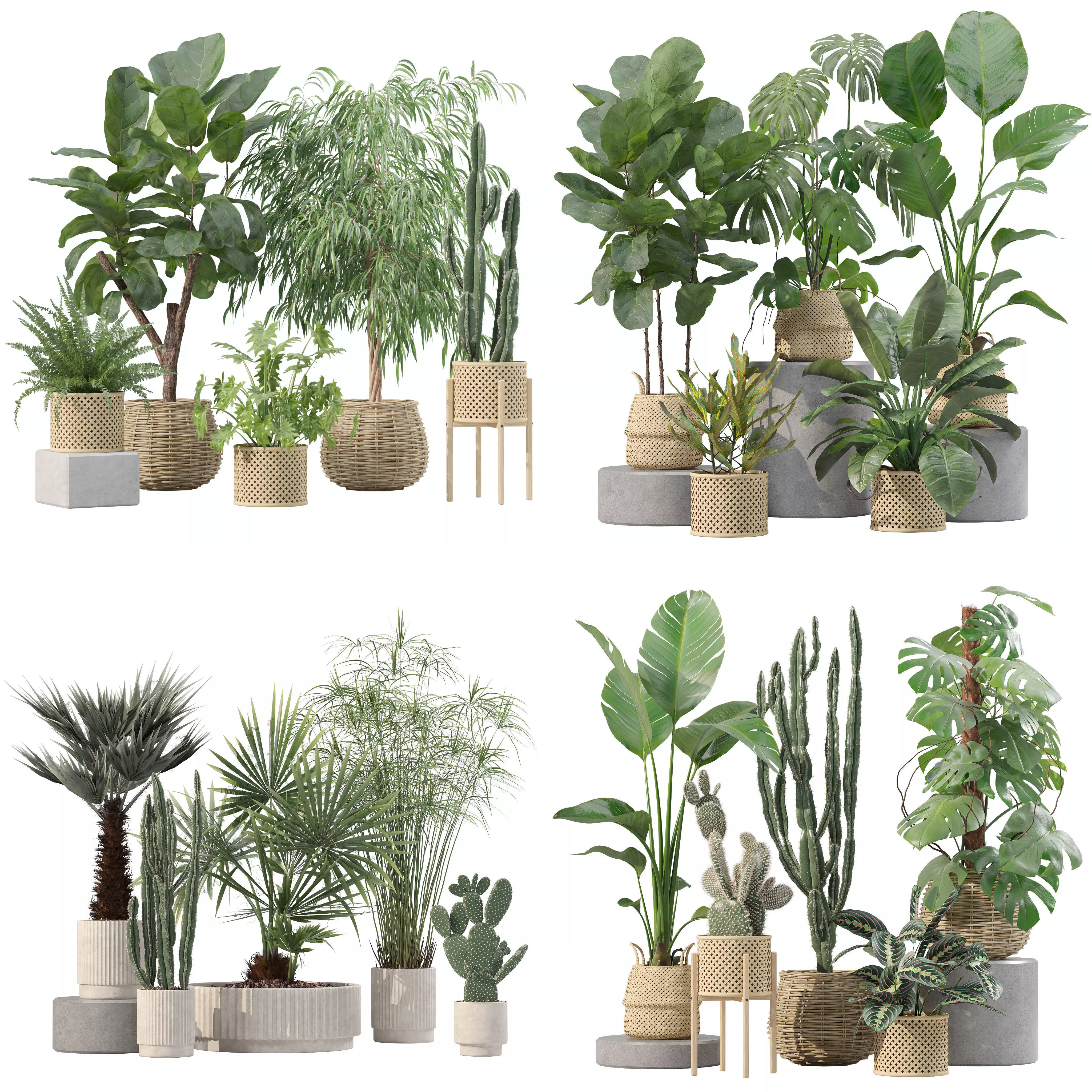 20 Photorealistic Flowers for Interiors - set 209 211 218 219 3D Model Collection_0