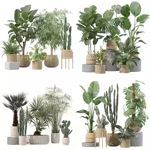 20 Photorealistic Flowers for Interiors - set 209 211 218 219 3D Model Collection