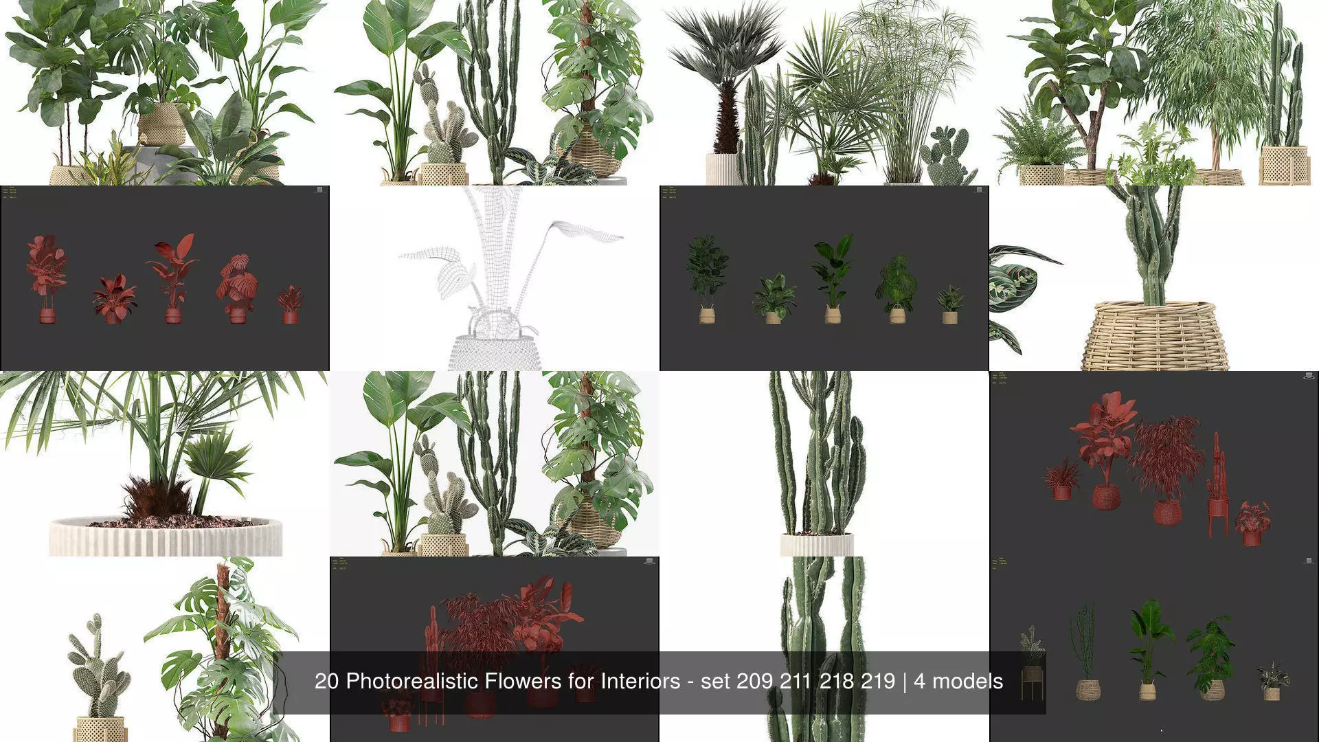 20 Photorealistic Flowers for Interiors - set 209 211 218 219 3D Model Collection_1