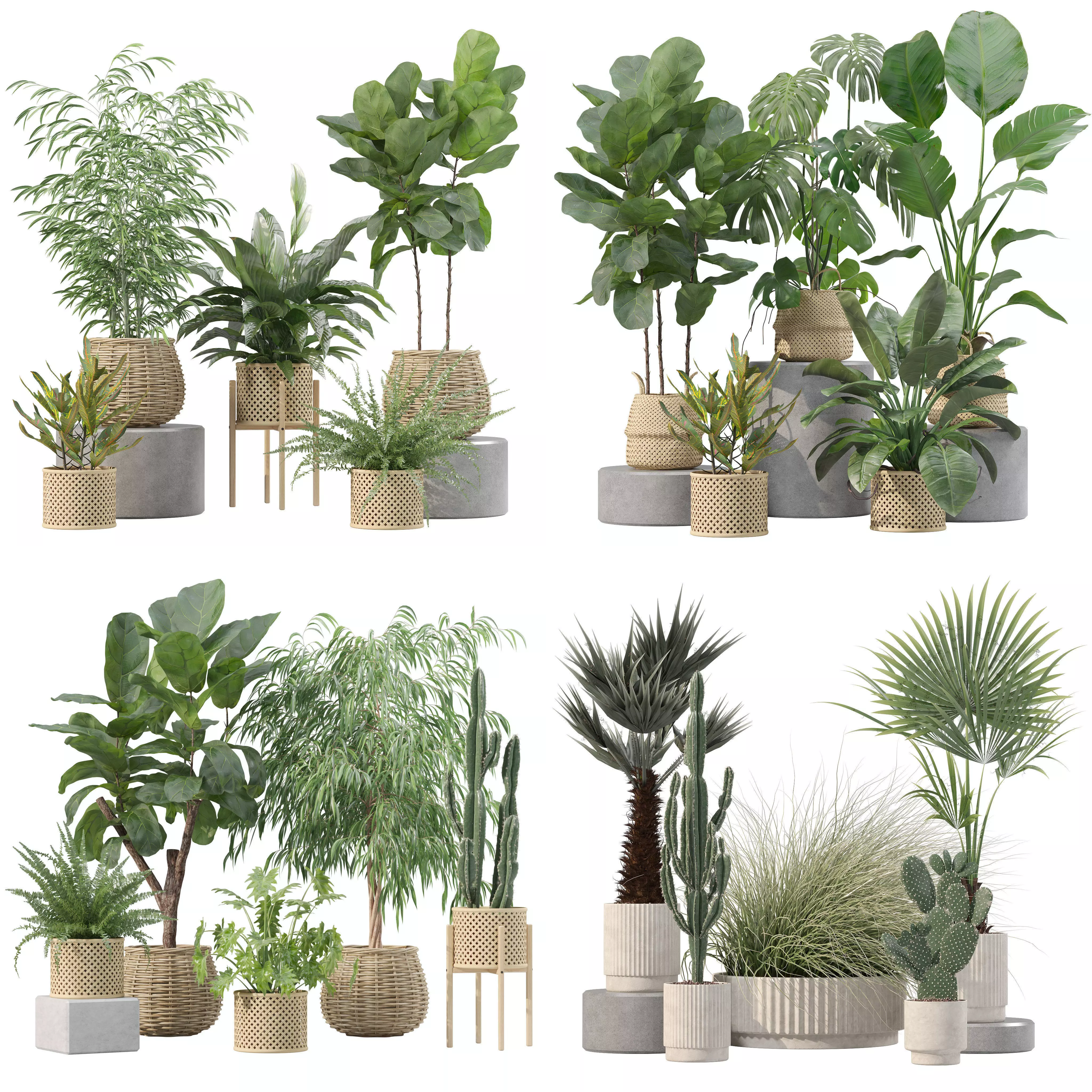 20 Photorealistic Flowers for Interiors - set 209 214 216 219 3D Model Collection_0