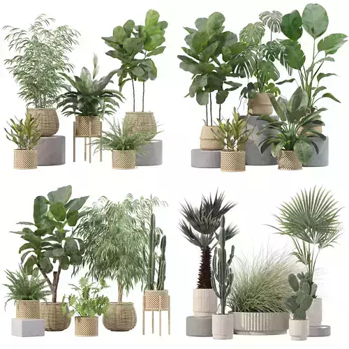20 Photorealistic Flowers for Interiors - set 209 214 216 219 3D Model Collection