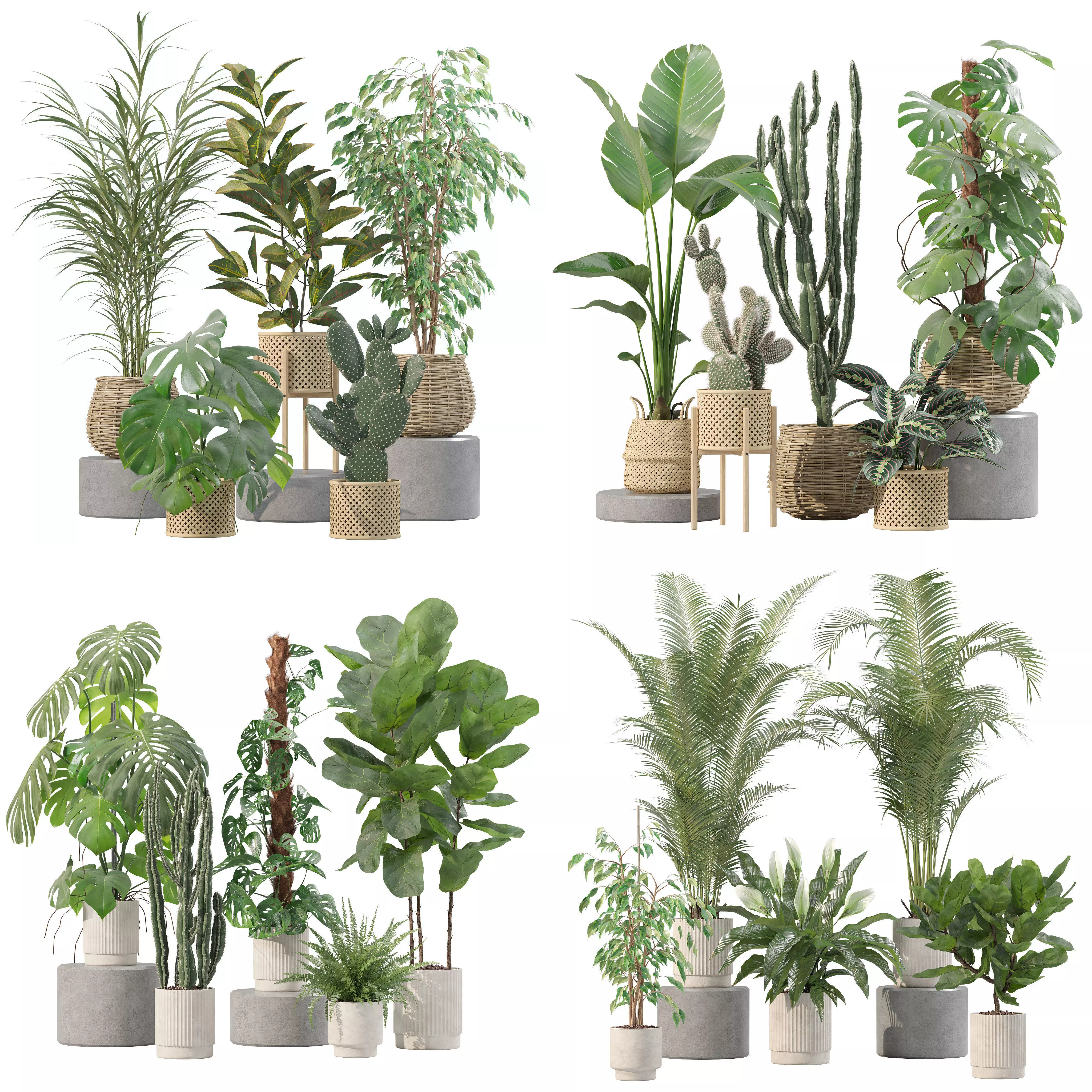 20 Photorealistic Flowers for Interiors - set 210 211 212 213 3D Model Collection_0