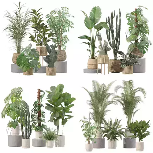 20 Photorealistic Flowers for Interiors - set 210 211 212 213 3D Model Collection