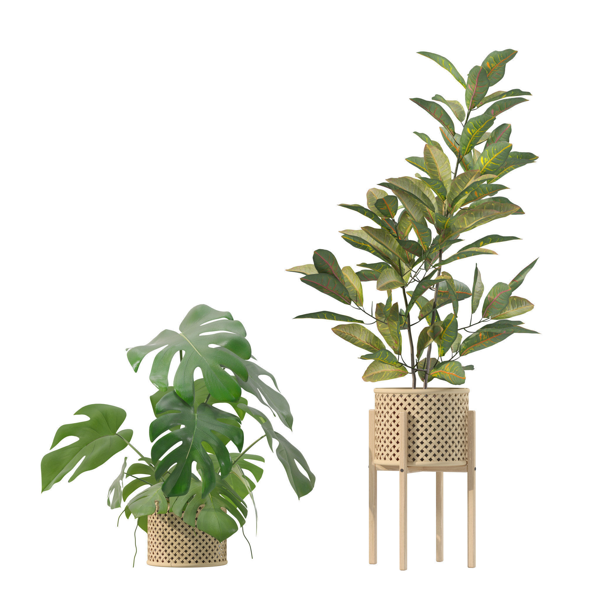 20 Photorealistic Flowers for Interiors - set 210 211 212 213 3D Model Collection_14