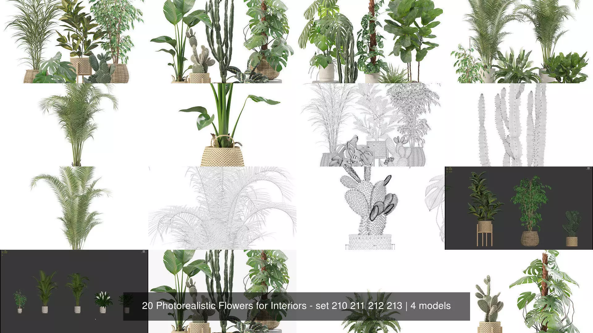 20 Photorealistic Flowers for Interiors - set 210 211 212 213 3D Model Collection_1