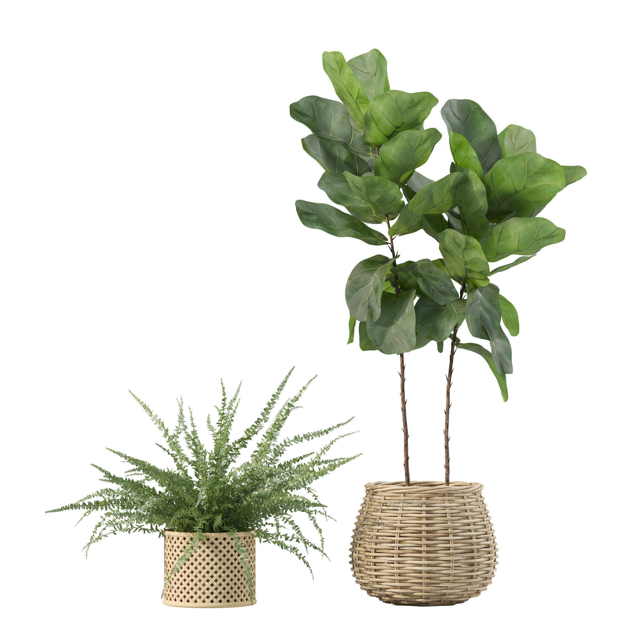 20 Photorealistic Flowers for Interiors - set 211 214 218 219 3D Model Collection_16