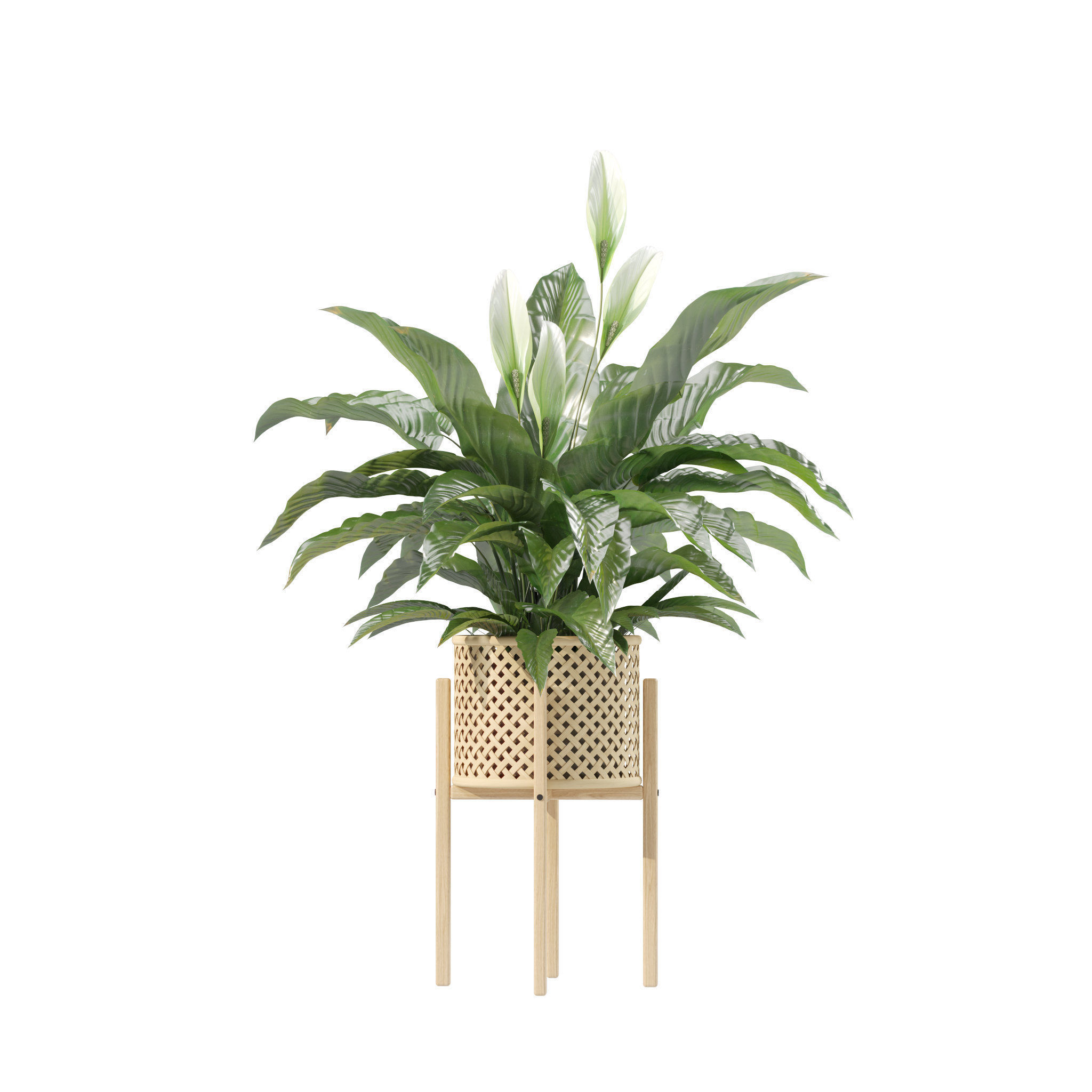 20 Photorealistic Flowers for Interiors - set 211 214 218 219 3D Model Collection_18