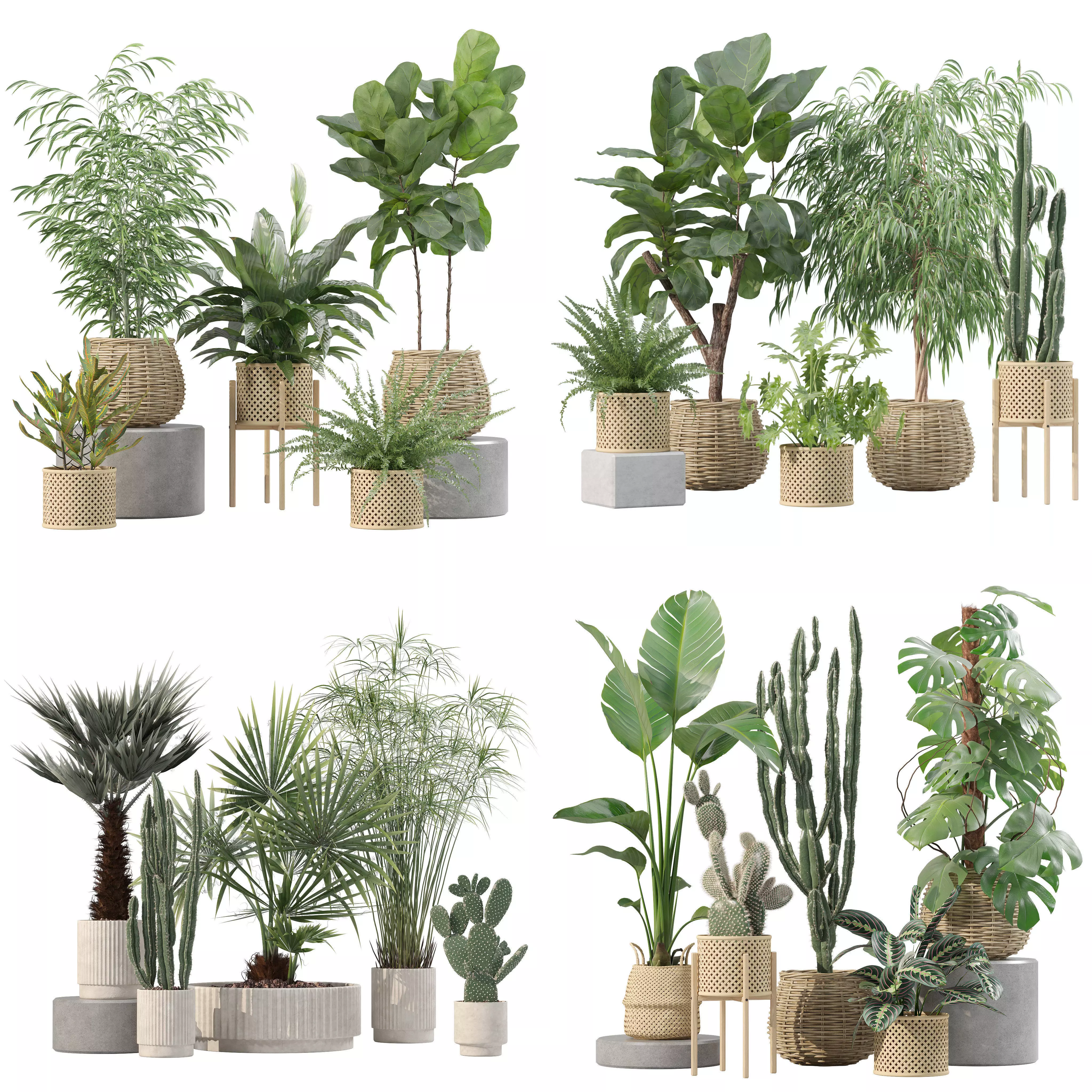 20 Photorealistic Flowers for Interiors - set 211 214 218 219 3D Model Collection_0