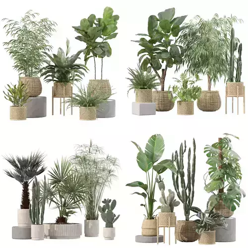 20 Photorealistic Flowers for Interiors - set 211 214 218 219 3D Model Collection