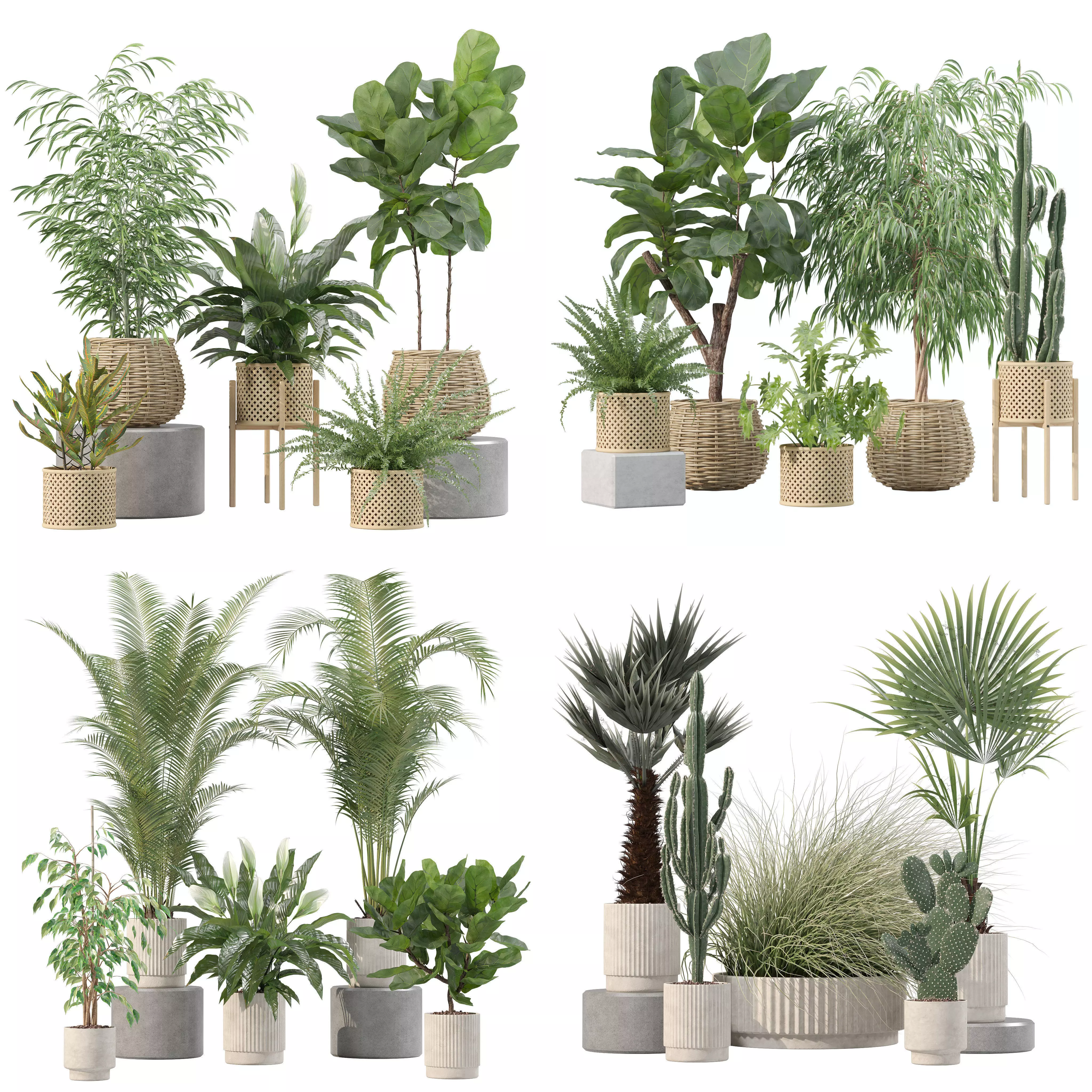 20 Photorealistic Flowers for Interiors - set 213 214 216 219 3D Model Collection_0
