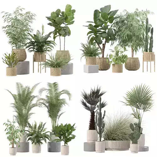 20 Photorealistic Flowers for Interiors - set 213 214 216 219 3D Model Collection