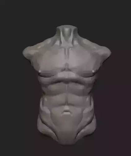 torso