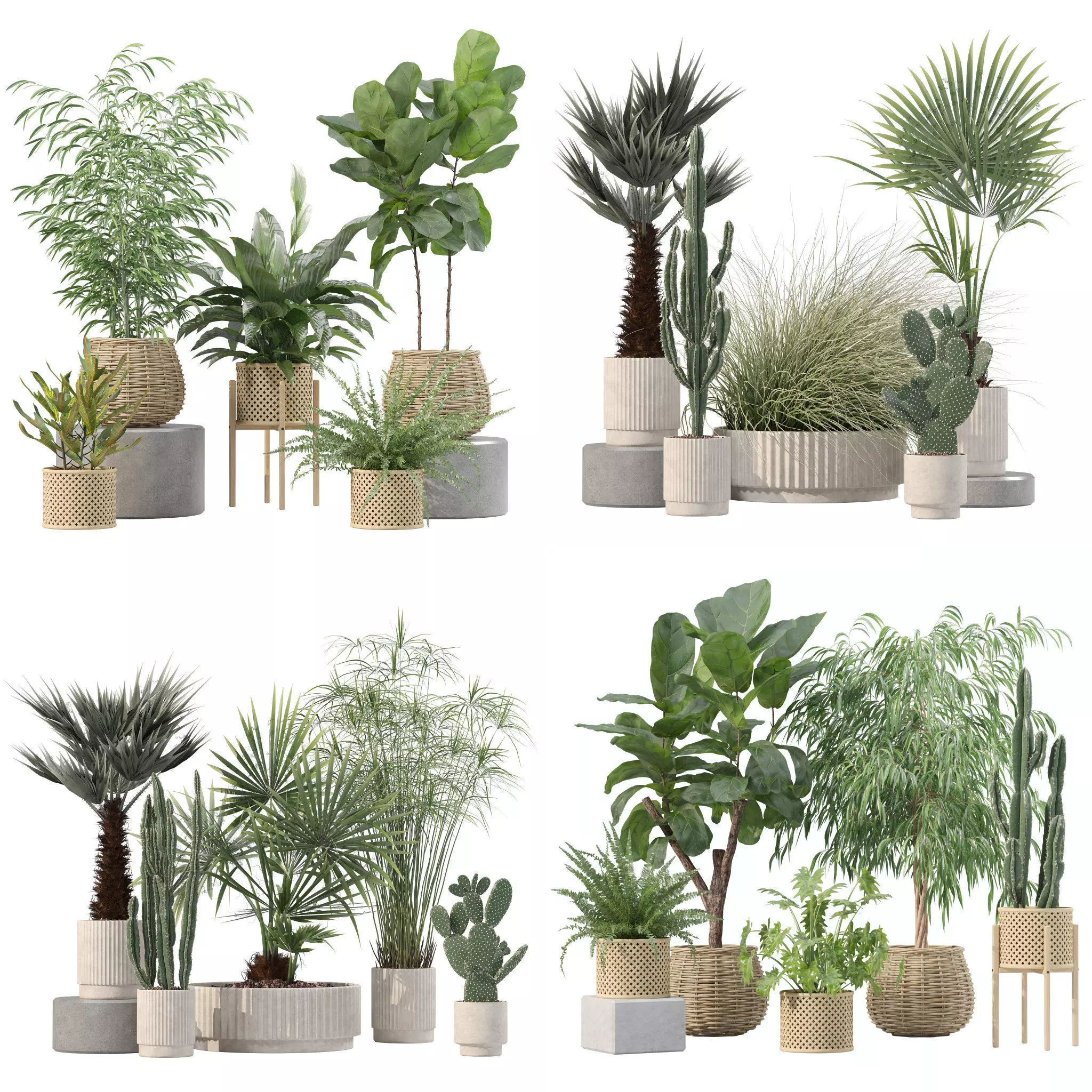 20 Photorealistic Flowers for Interiors - set 214 216 218 219 3D Model Collection_0