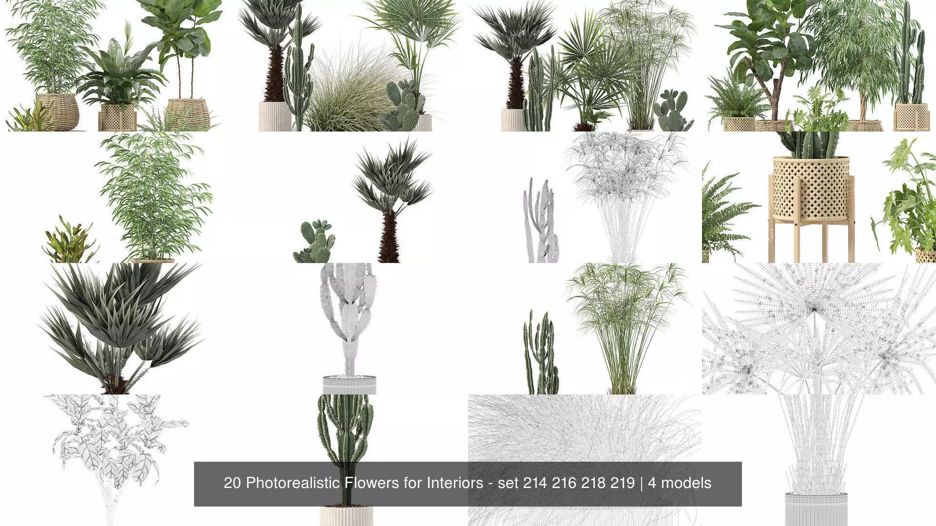 20 Photorealistic Flowers for Interiors - set 214 216 218 219 3D Model Collection_1