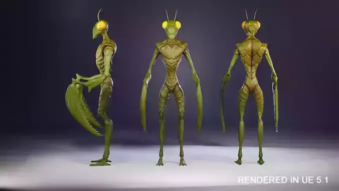 Insect creature Low-poly 3D model
