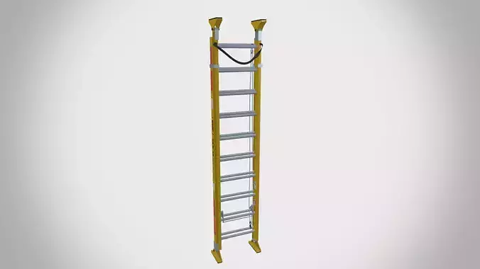 Industrial Safety Ladder