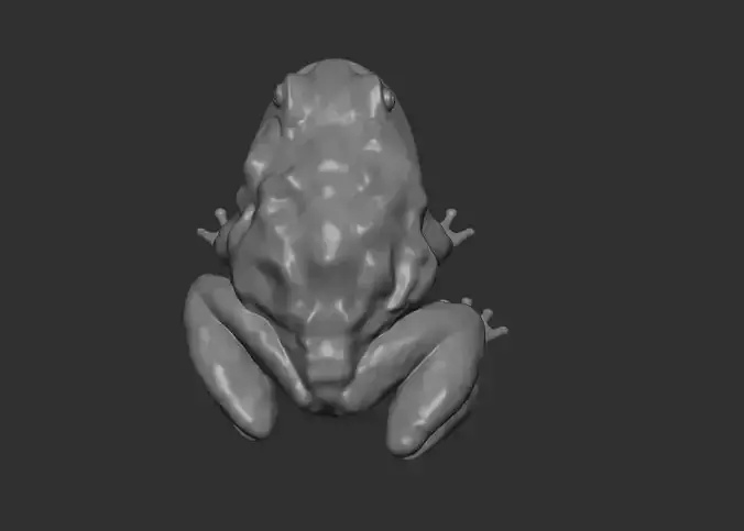 FROG model 