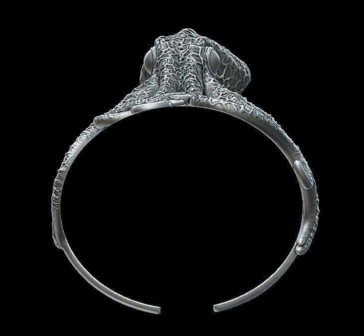 Octopus Bracelet  3D print model_2