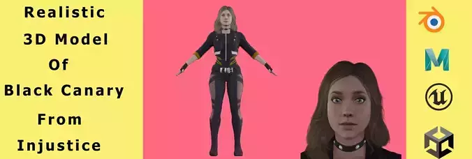  Black Canary Low-poly 3D model