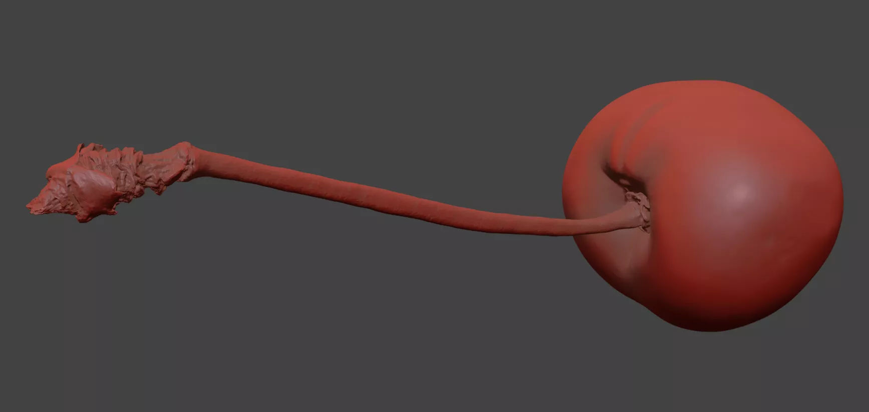 Cherry 3D model_7