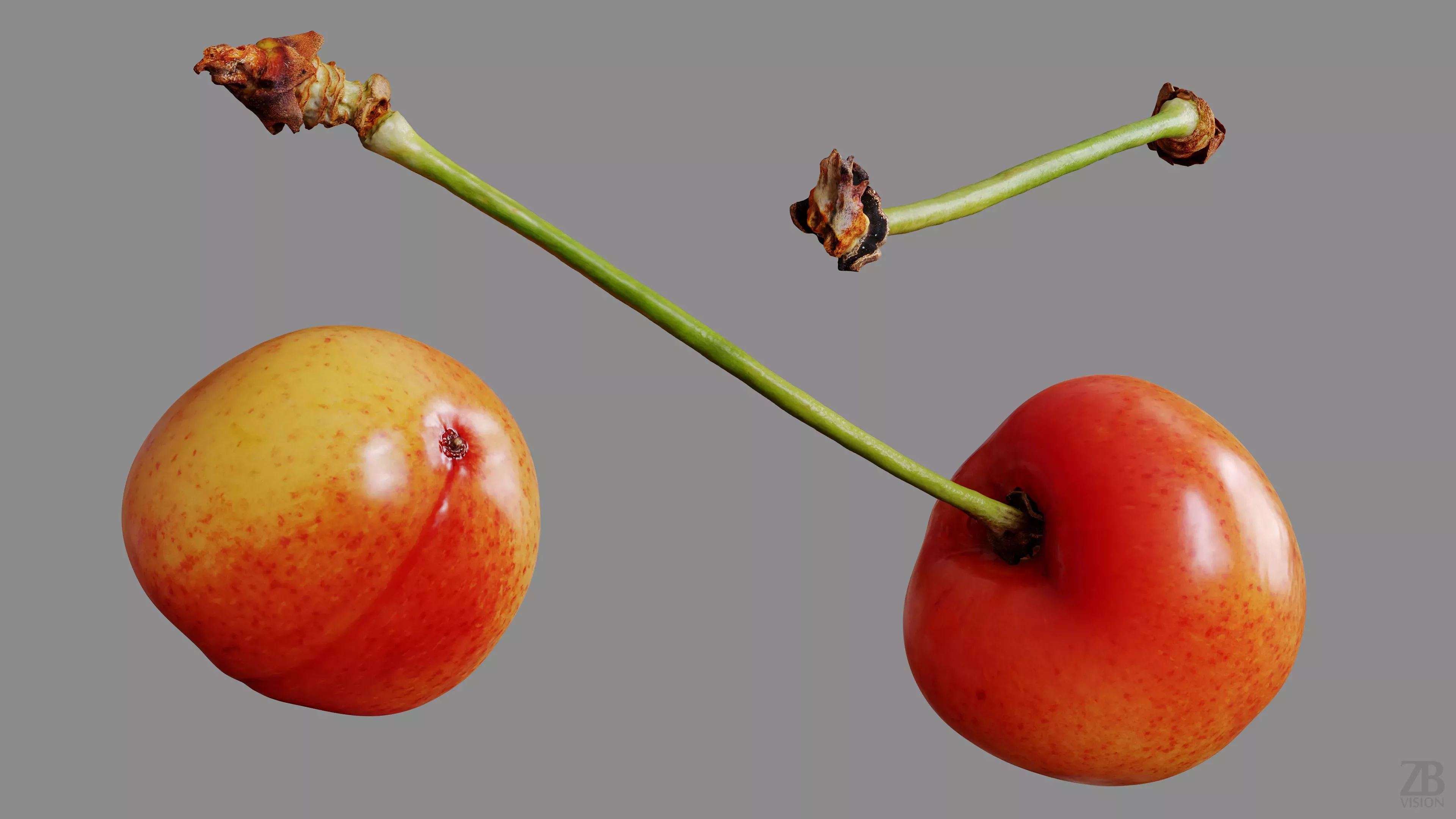 Cherry 3D model_9