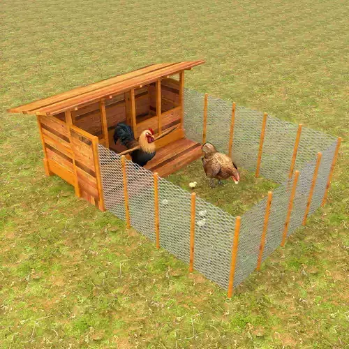 Chicken Coop
