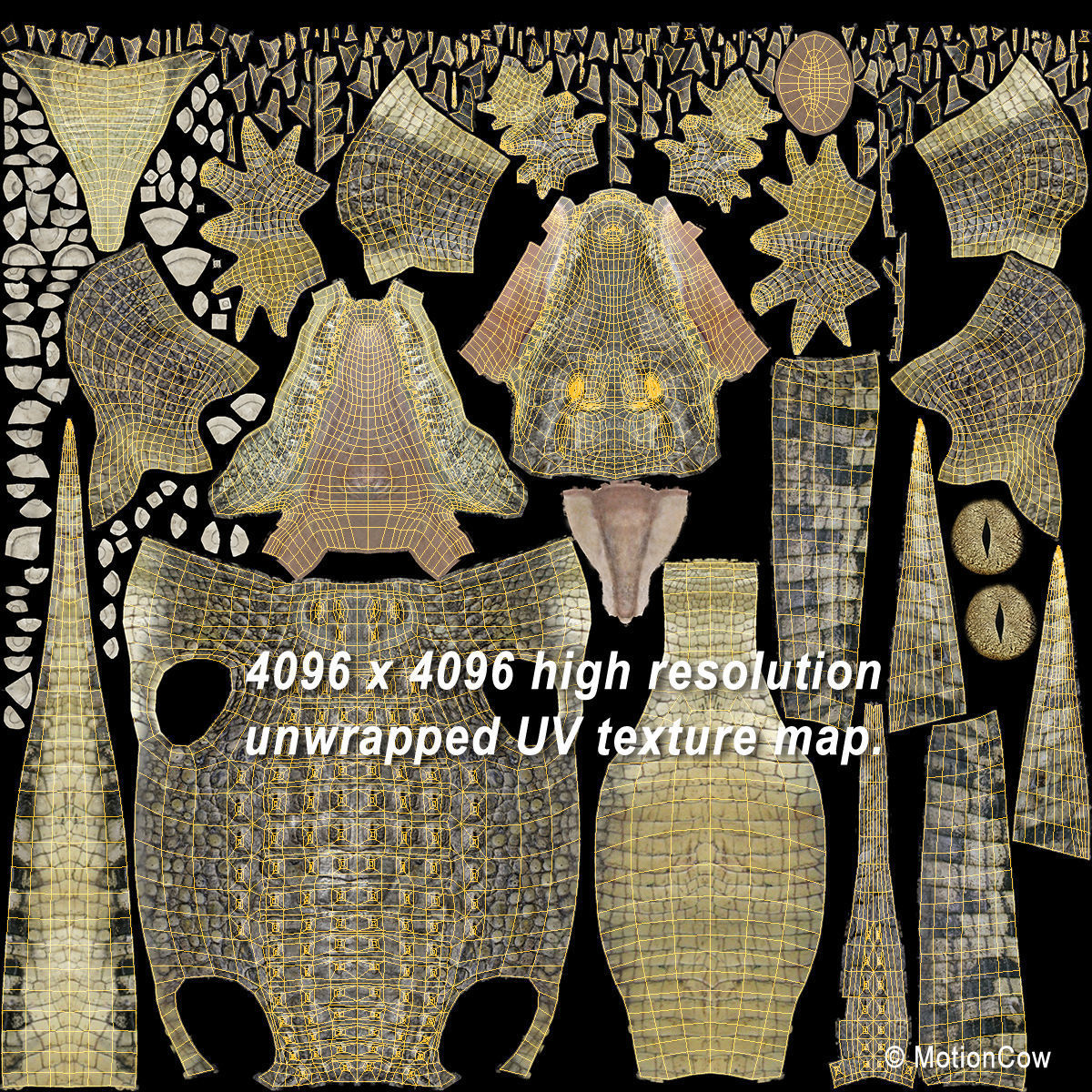 Crocodile 3D model_27