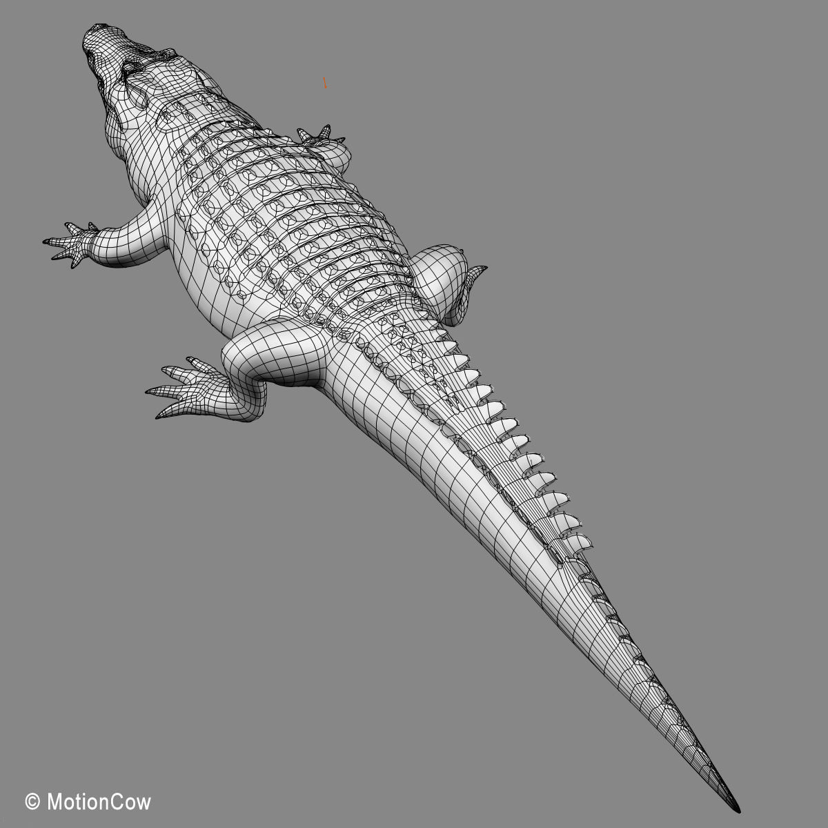 Crocodile 3D model_24