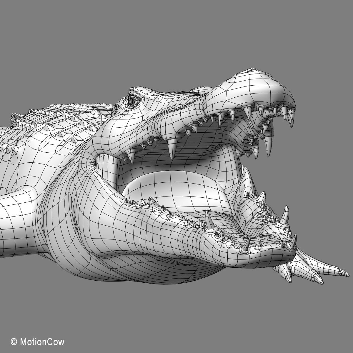 Crocodile 3D model_22