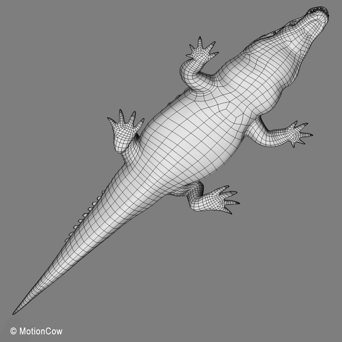 Crocodile 3D model_25