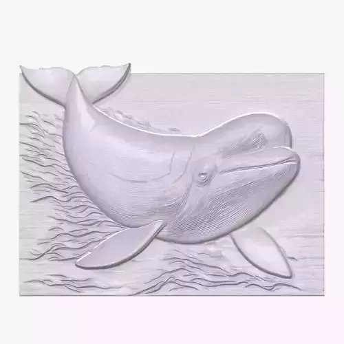 Beluga Whale 3 basrelief for 3D printing 3D print model