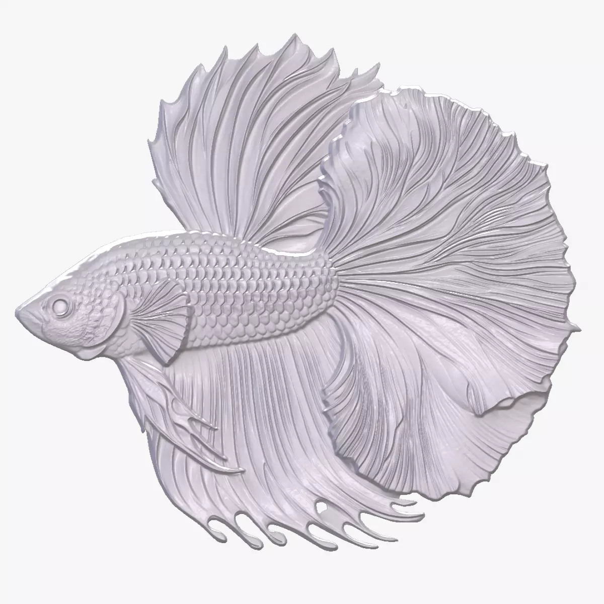 Betta 7 basrelief for 3D printing 3D print model
