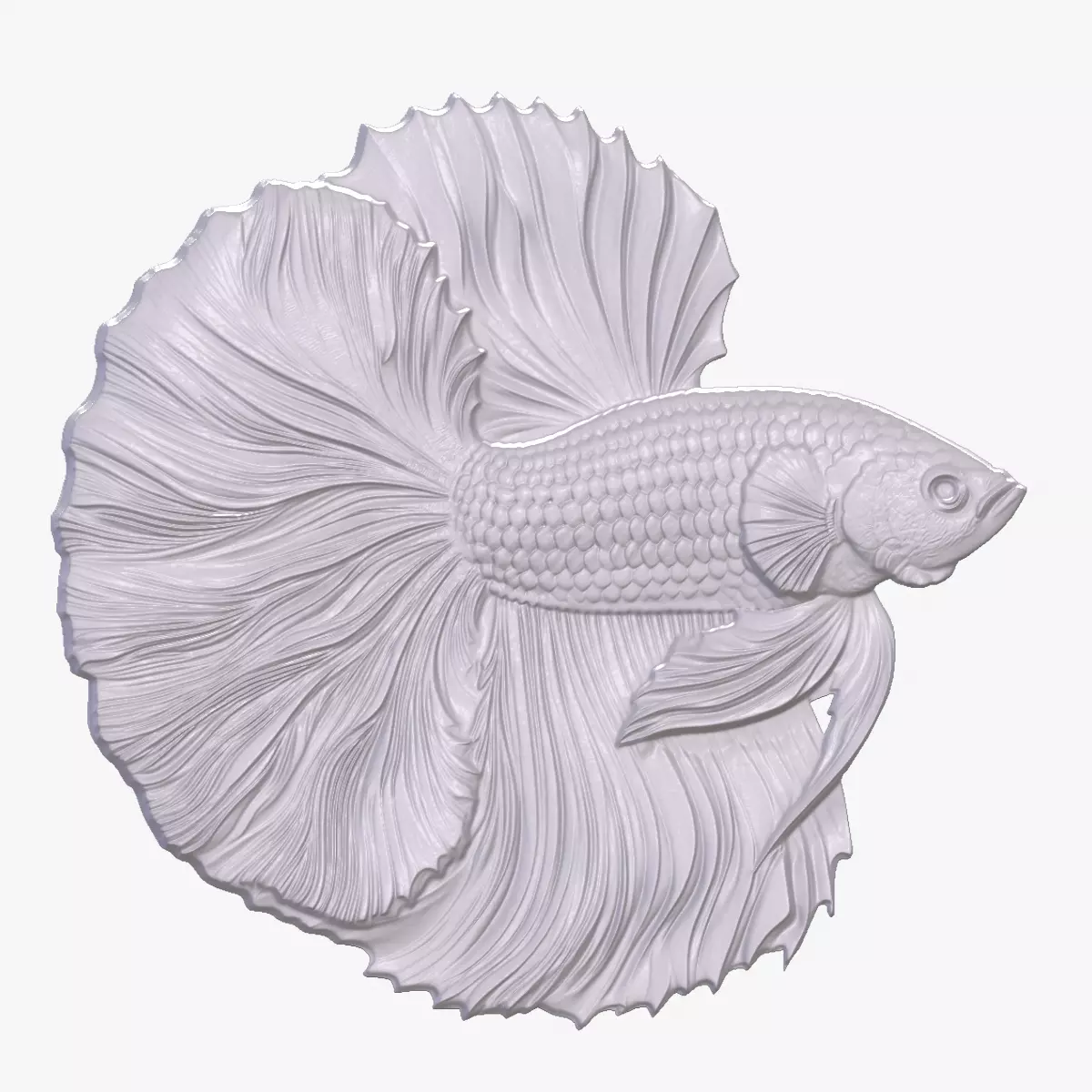 Betta 8 basrelief for 3D printing 3D print model