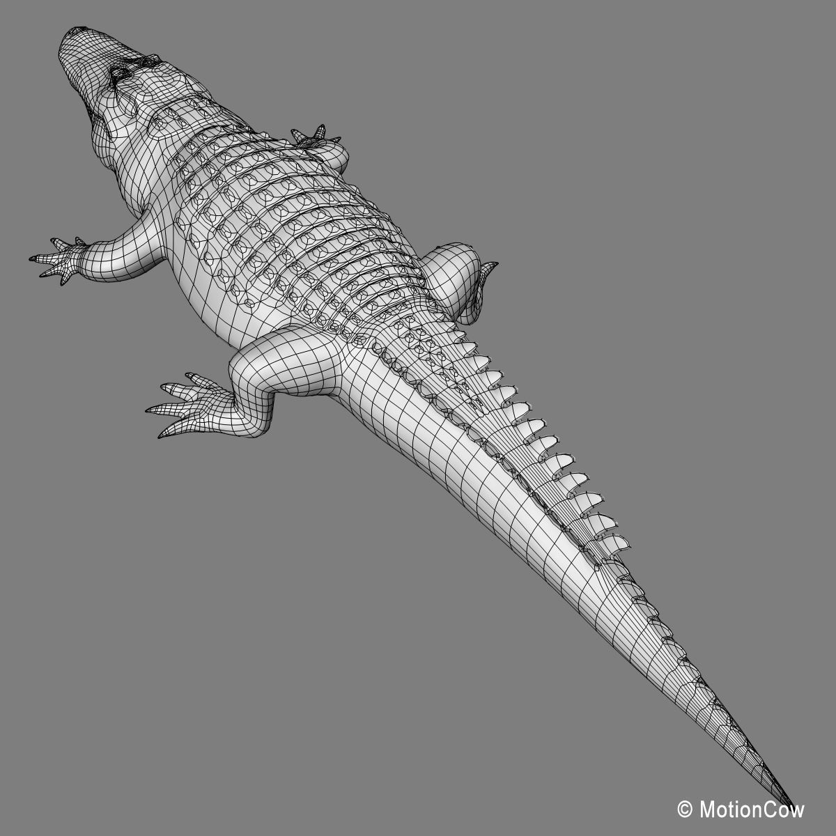 Alligator 3D model_23