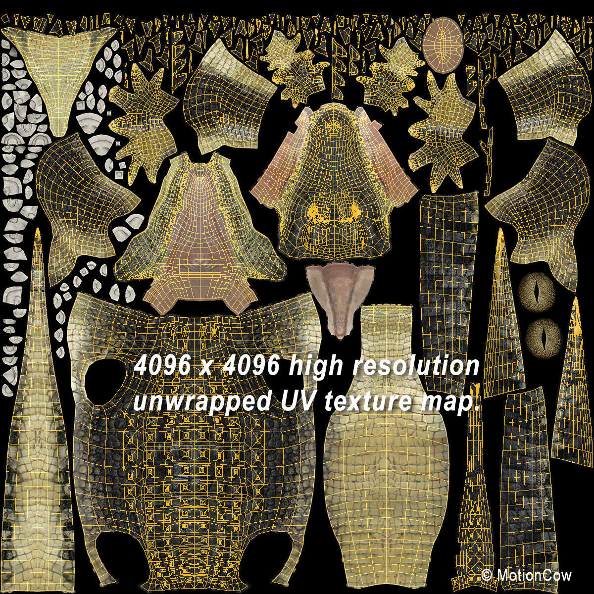 Alligator 3D model_26