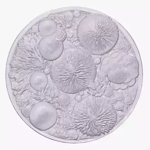 Coral Reef 1 basrelief for 3D printing