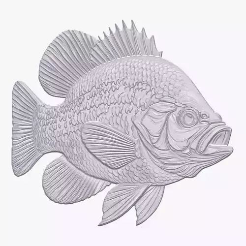 Crappie 1 basrelief for 3D printing