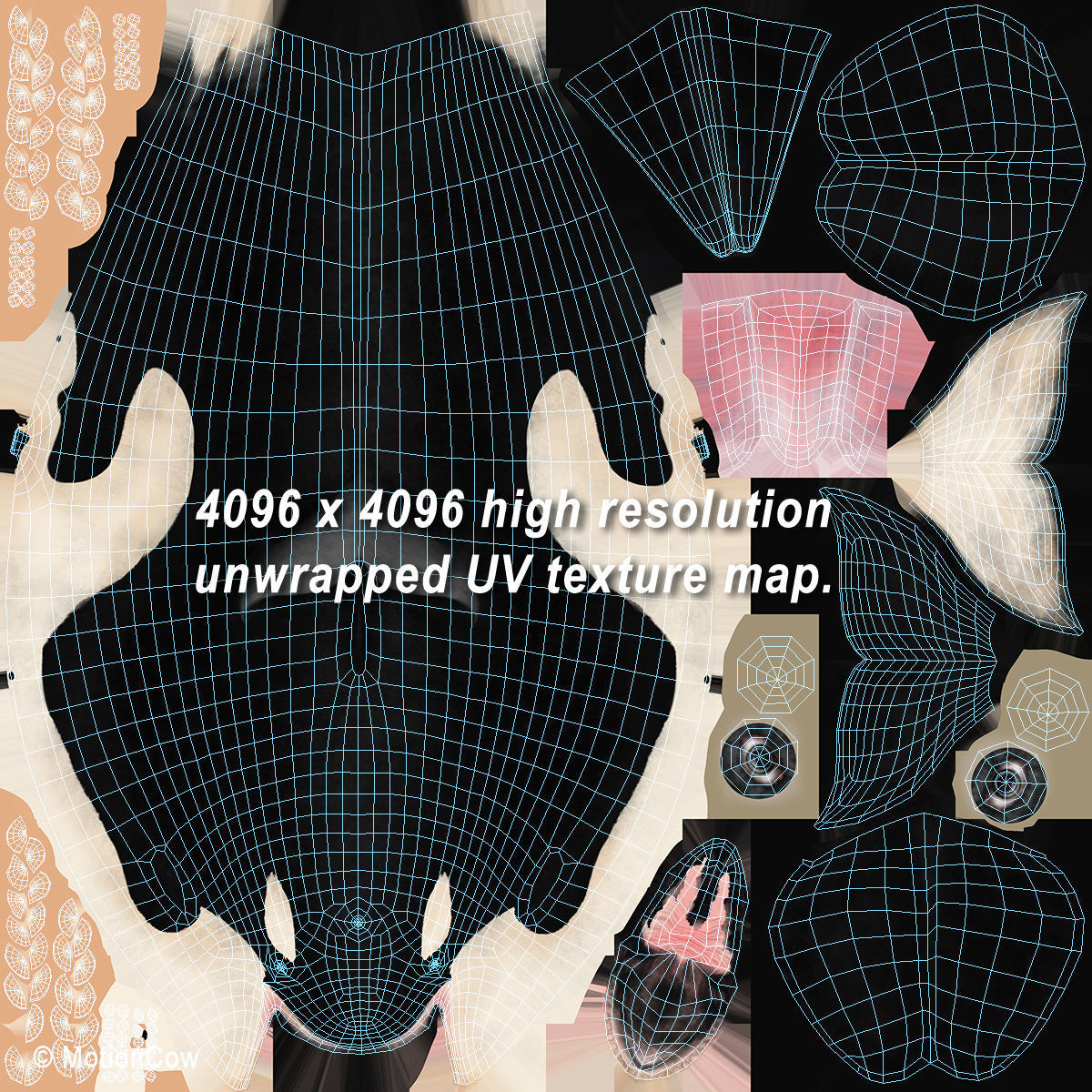 Orca Family - Killer Whales 3D model_23