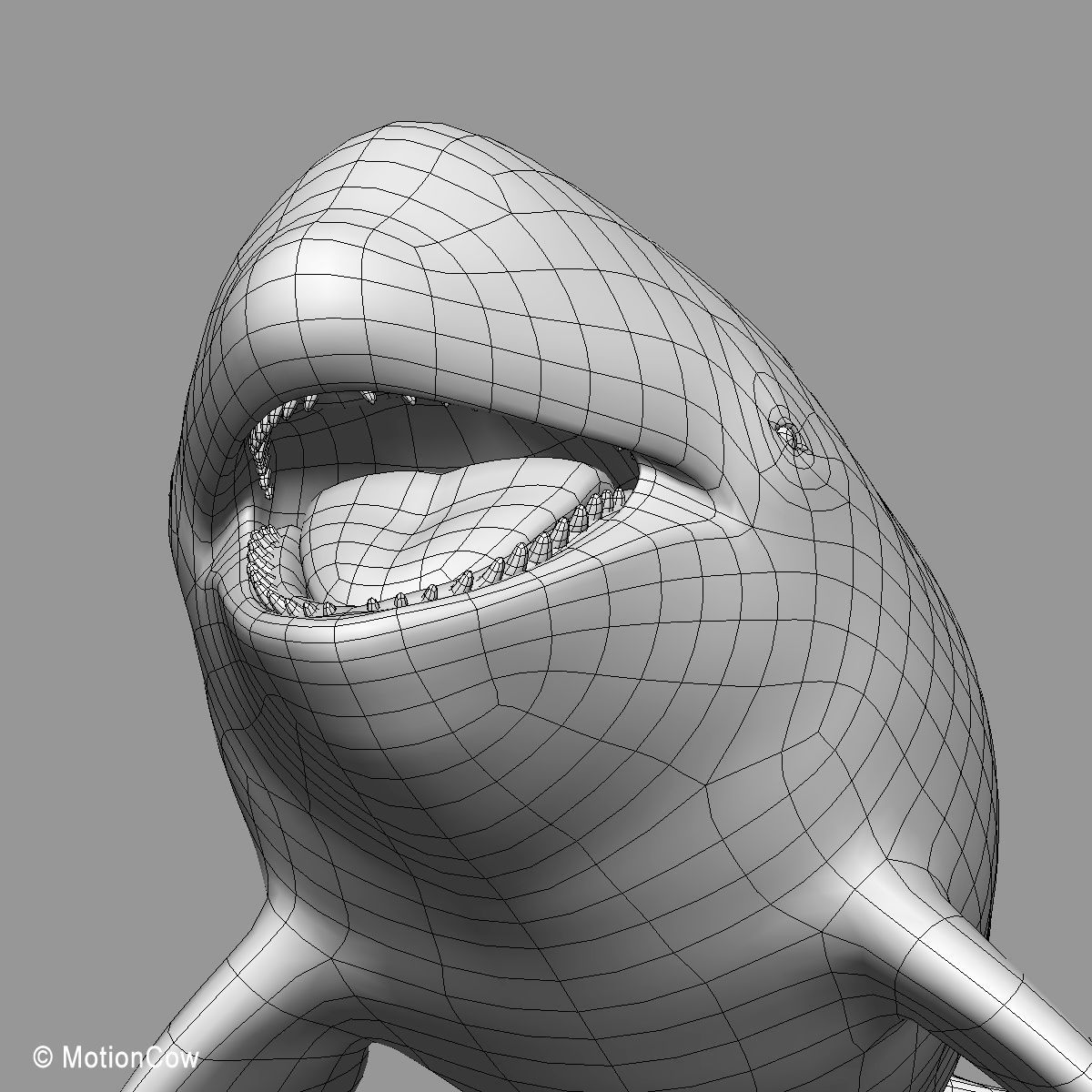 Orca Family - Killer Whales 3D model_22