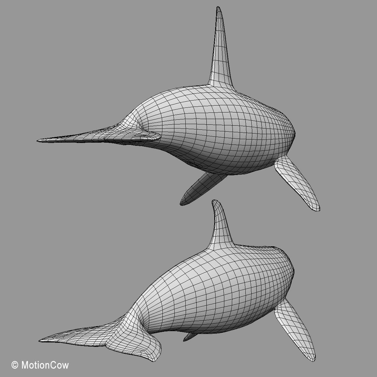 Orca Family - Killer Whales 3D model_21