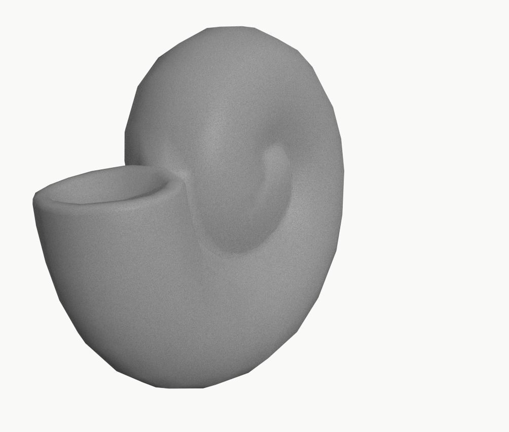 Ammonite 3D Model for Print 3D print model_1