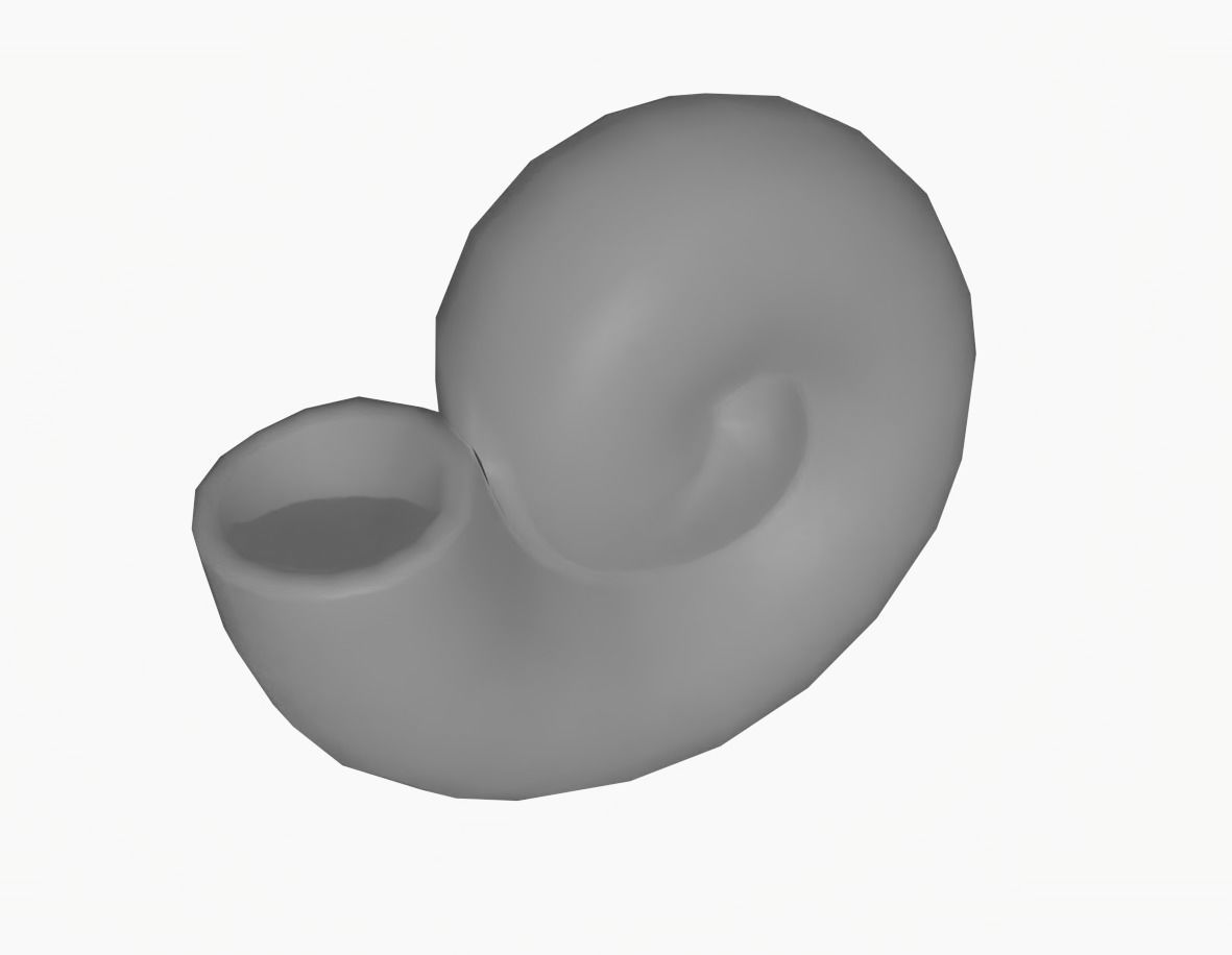 Ammonite 3D Model for Print 3D print model_2