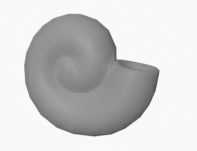 Ammonite 3D Model for Print 3D print model
