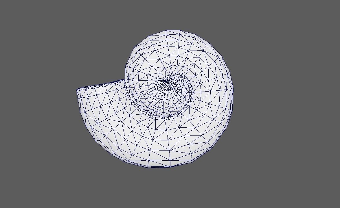 Ammonite 3D Model for Print 3D print model_3