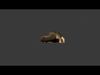 Crocodile 3DModel BaseMesh 3D model_1
