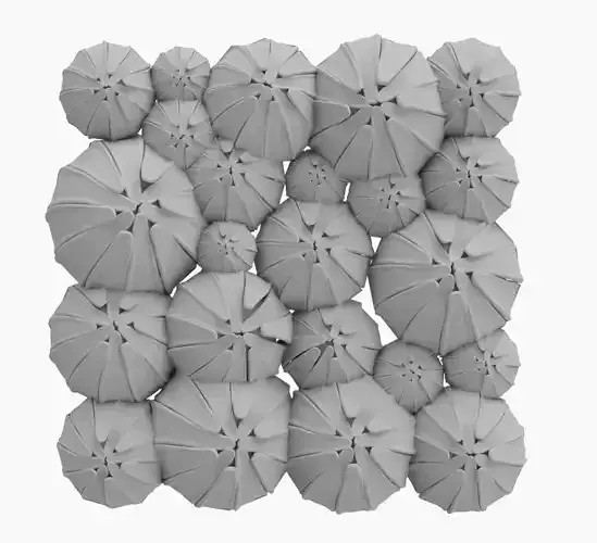 High Poly Flower Buds 3D Print Model