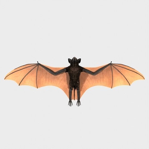 Giant Bat 3D model
